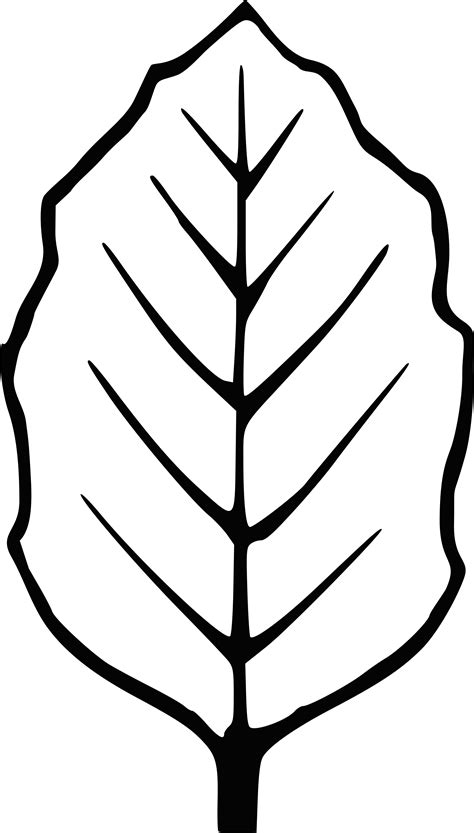 leaf outline images|leaf outline clip art.